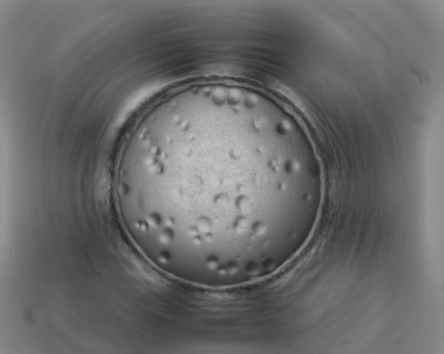 X0000114111115200910191656