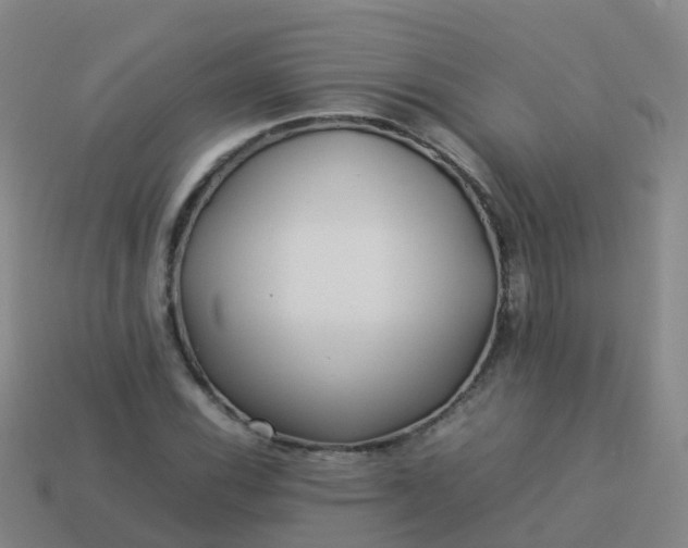 X0000114111116200910191656