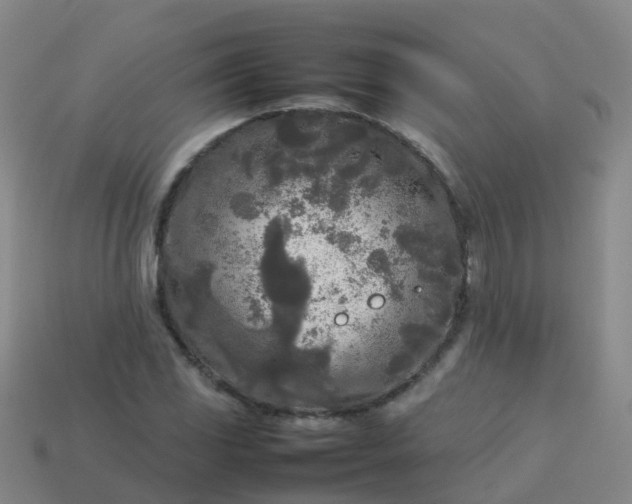 X0000114111117200910191656