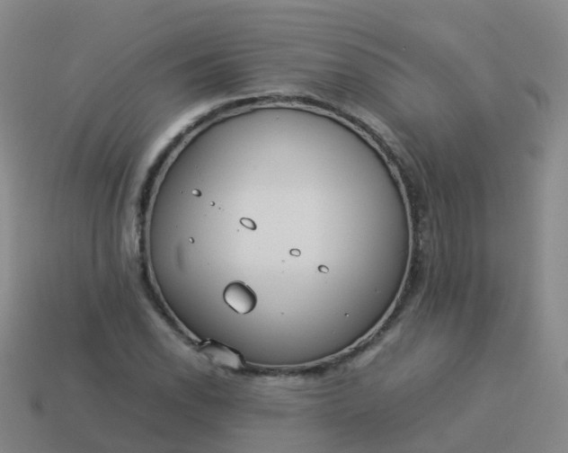 X0000114111118200910191657