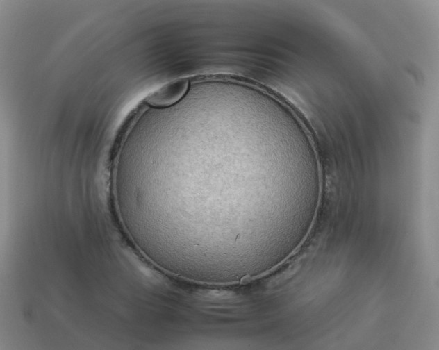 X0000114111119200910191657