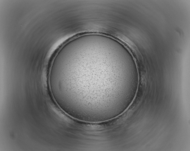 X0000114111120200910191657