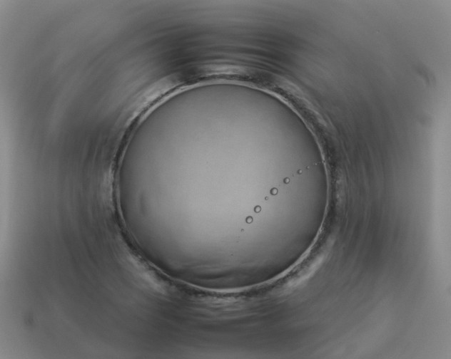 X0000114111121200910191657