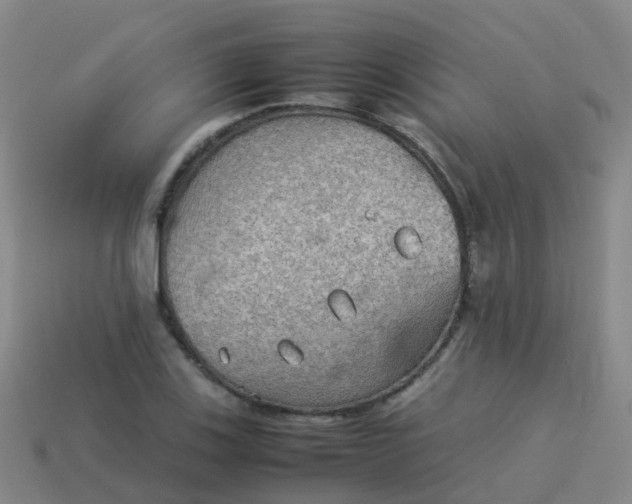 X0000114111123200910191657