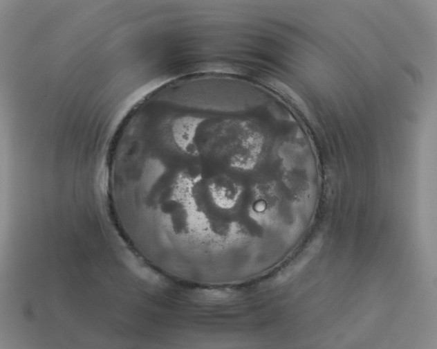 X0000114111125200910191657