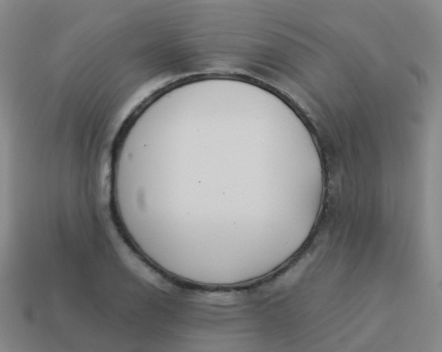 X0000114111126200910191657