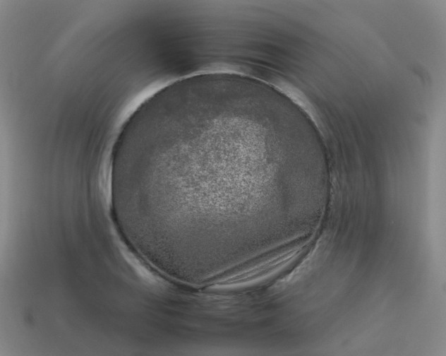 X0000114111127200910191657