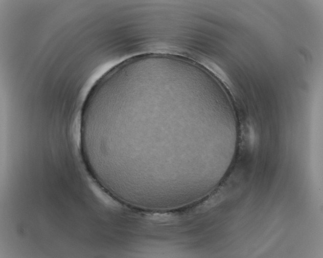 X0000114111128200910191657