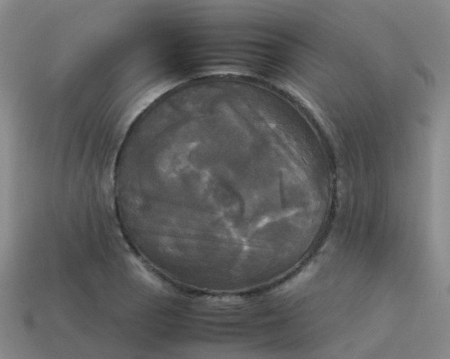 X0000114111129200910191657