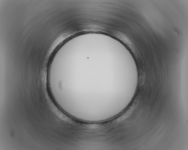 X0000114111130200910191657