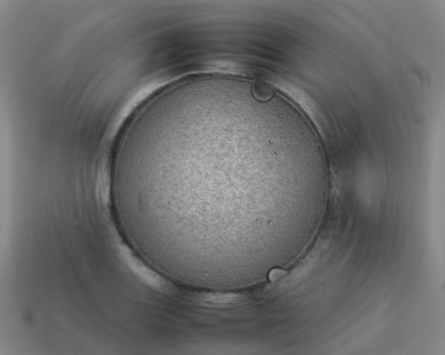 X0000114111131200910191657