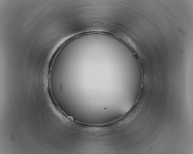 X0000114111132200910191657