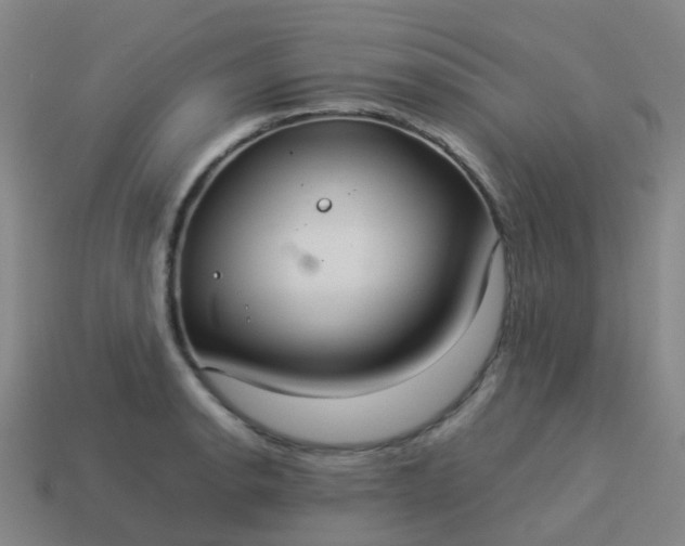 X0000114111134200910191657