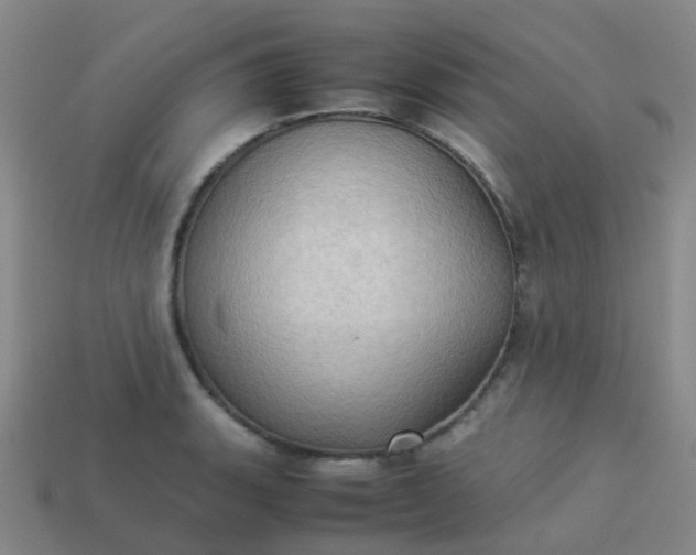 X0000114111135200910191657