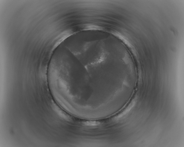 X0000114111137200910191657