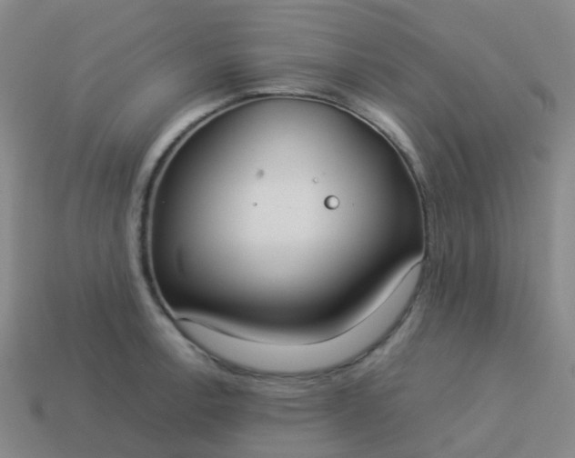 X0000114111138200910191657