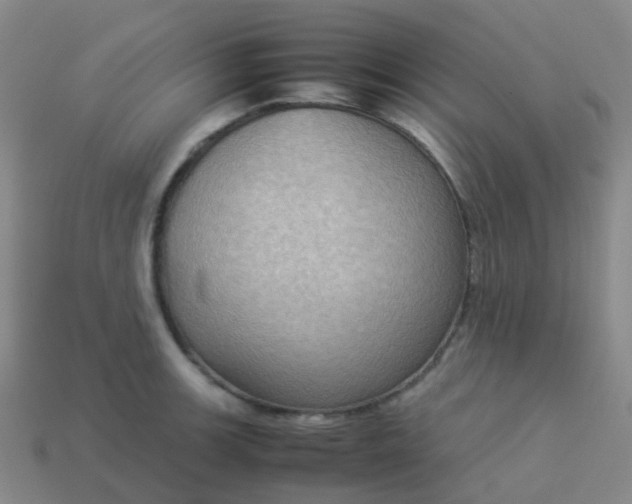 X0000114111139200910191657