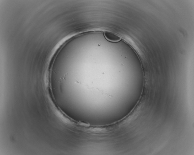 X0000114111140200910191657