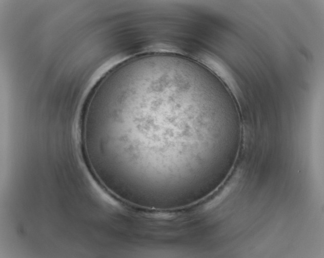 X0000114111141200910191657