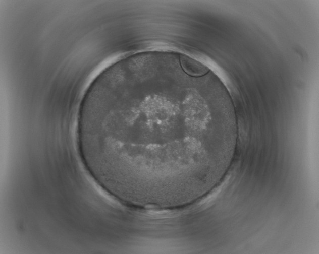 X0000114111142200910191657