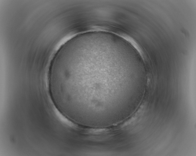 X0000114111143200910191657