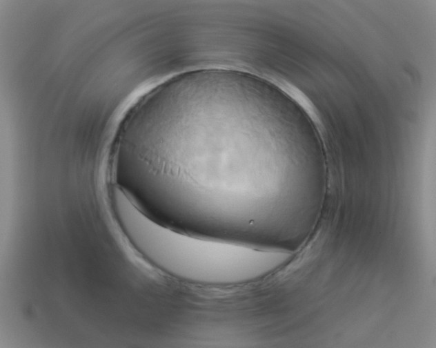 X0000114111144200910191657