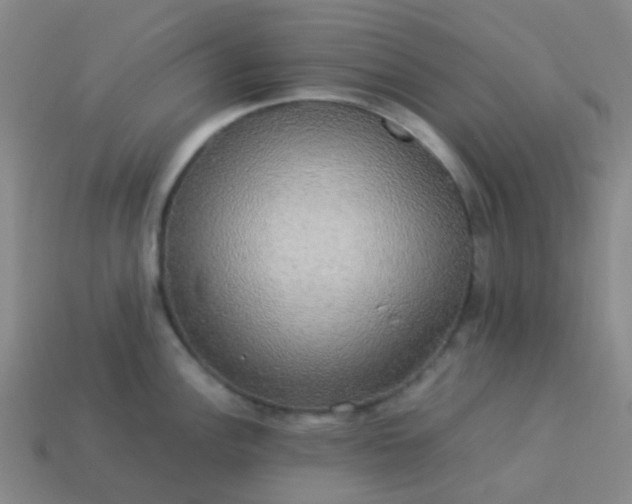 X0000114111148200910191657