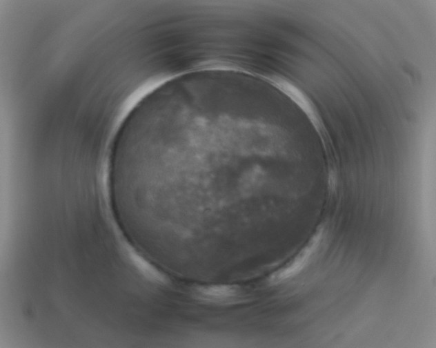 X0000114111149200910191657