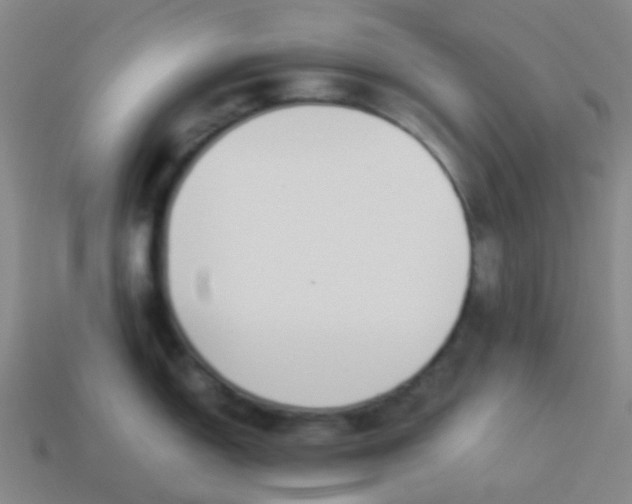 X0000114111150200910191657