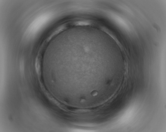 X0000114111151200910191657