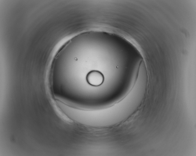 X0000114111152200910191657