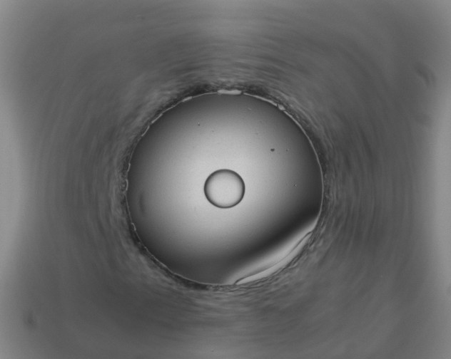 X0000114111153200910191656