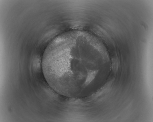 X0000114111154200910191656