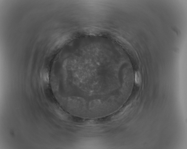 X0000114111155200910191656