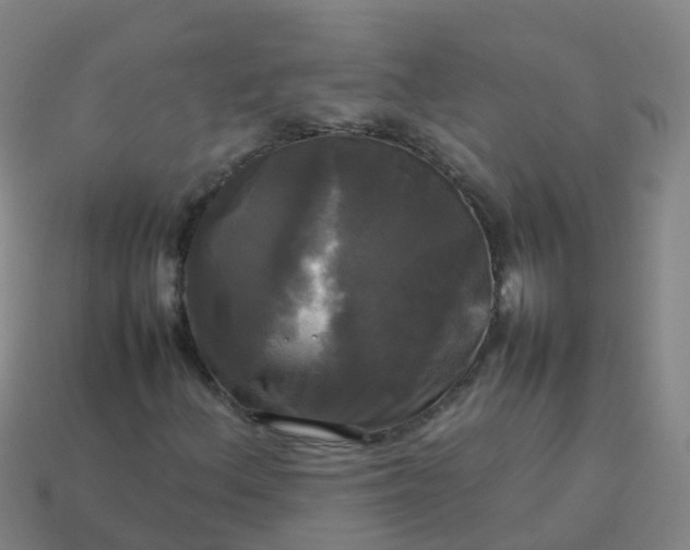 X0000114111156200910191656