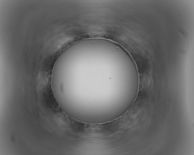 X0000114111157200910191656