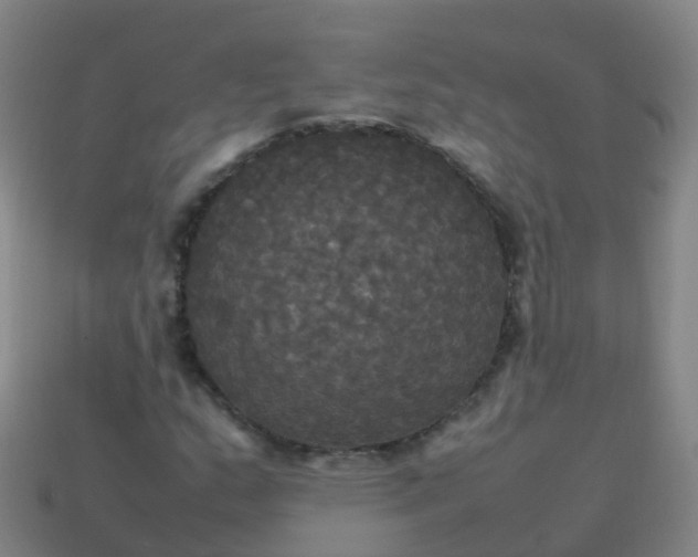 X0000114111159200910191656