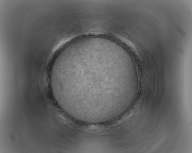 X0000114111160200910191656