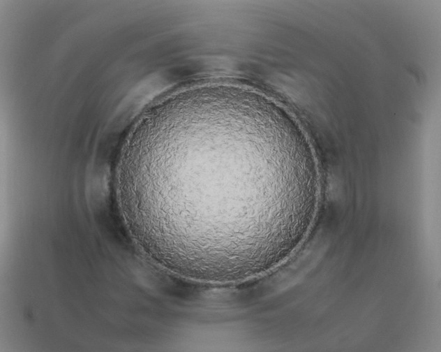 X0000114111161200910191656