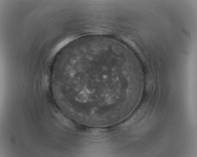 X0000114111163200910191656