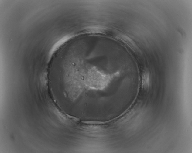 X0000114111164200910191656