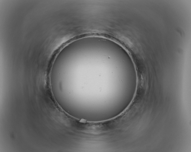 X0000114111165200910191656