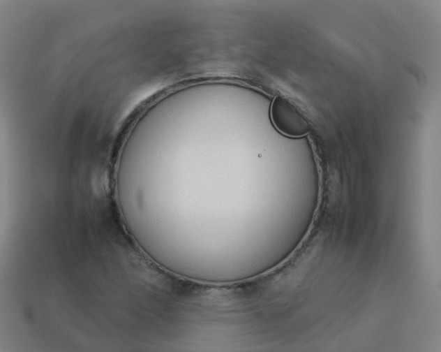 X0000114111166200910191656