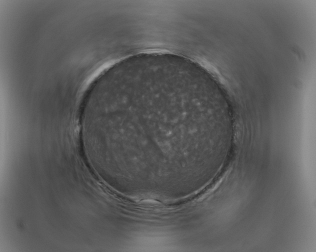 X0000114111167200910191656