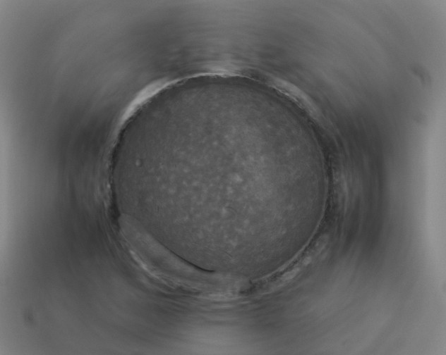 X0000114111168200910191656