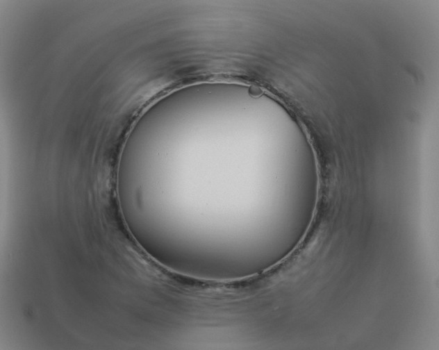 X0000114111169200910191656