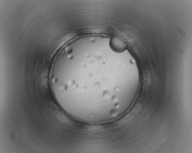 X0000114111170200910191656