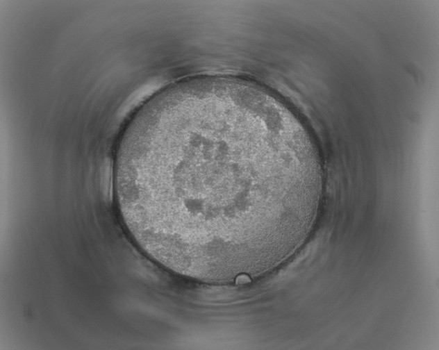 X0000114111171200910191656