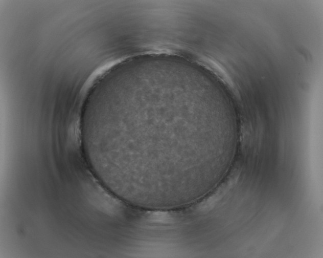 X0000114111172200910191656