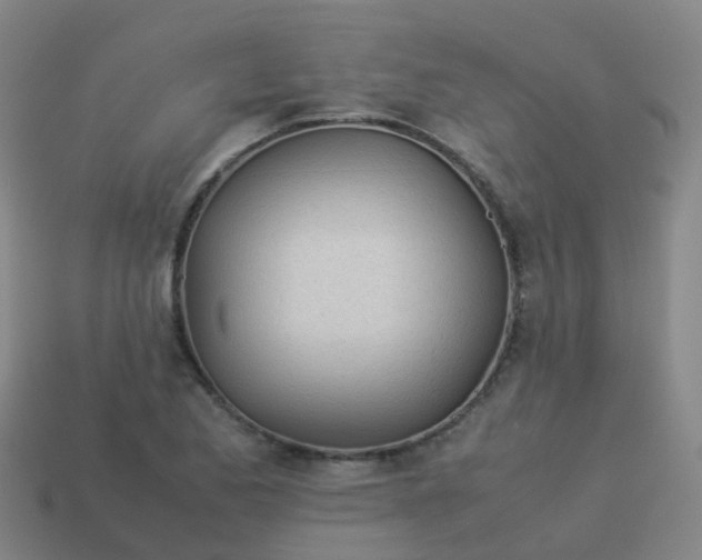 X0000114111173200910191656